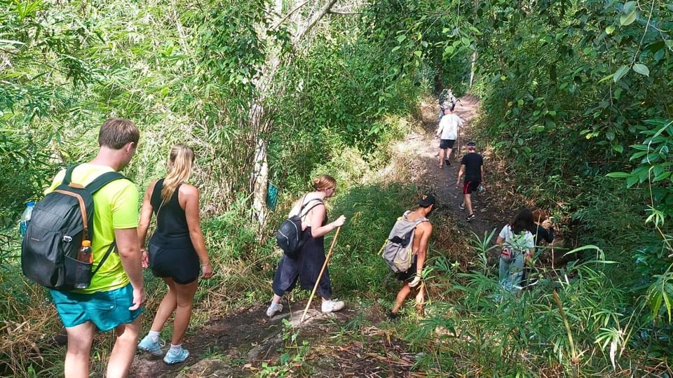 Enchanting Jungle Full-Day Trekking in Chiang Mai - Exclusions