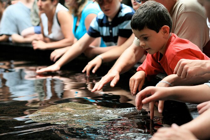 Entrance Ticket Nausicaa, the Biggest Aquarium in Europe - Highlights and Signature Exhibits