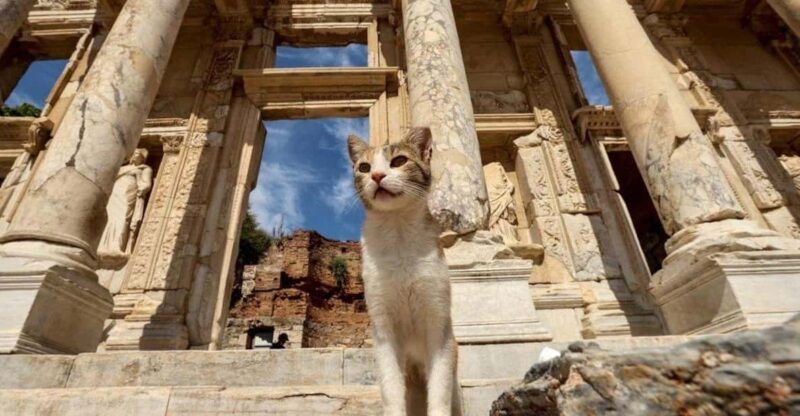 Ephesus Tour W/Istanbul Combination for Cruise Passengers - Additional Experiences to Enjoy