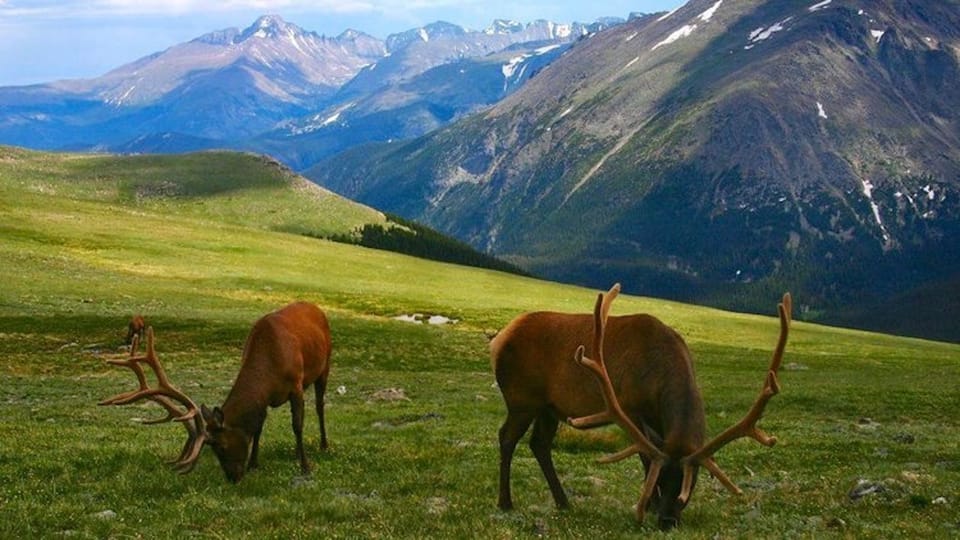 Estes Park: Bear Lake Corridor Tour - Customer Reviews