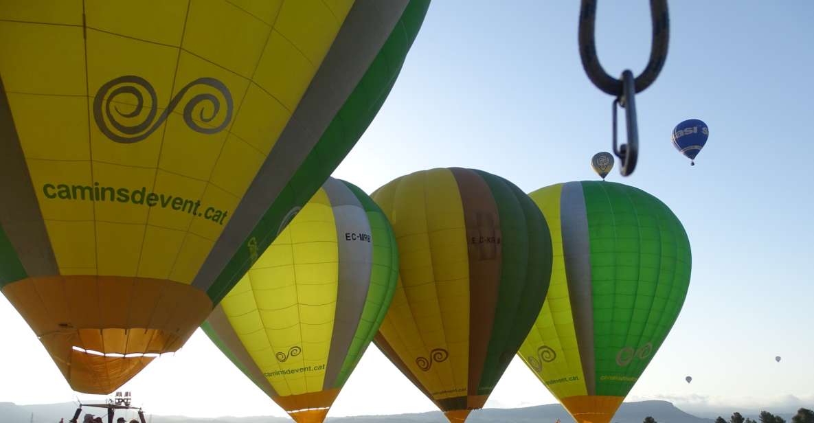 European Balloon Festival: Hot Air Balloon Ride - Accessibility Considerations