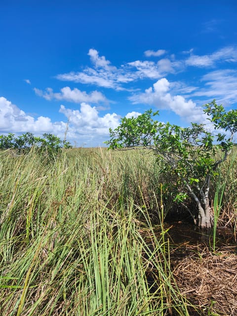 Everglades Eco Tour With Private Luxury Transportation - Airboat Ride Experience