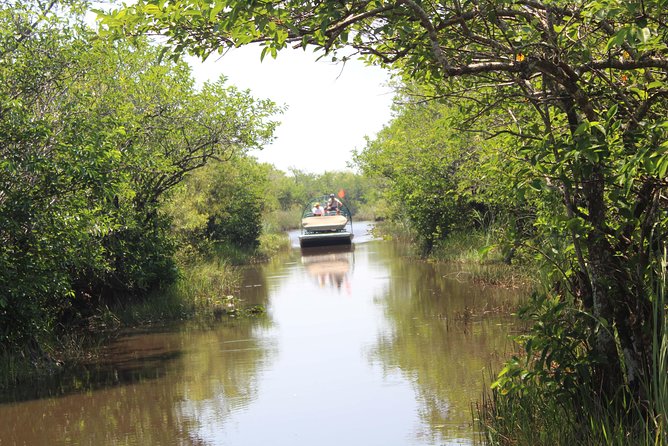 Everglades & Miami City Tour With Experienced Guide in Small Group - Accessibility Information