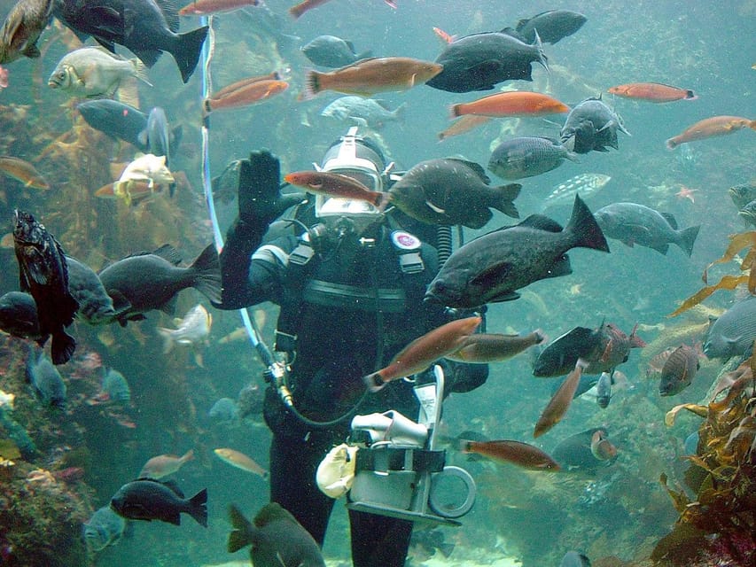 Exciteful Scuba Diving Experience in Antalya - Tips for a Better Experience