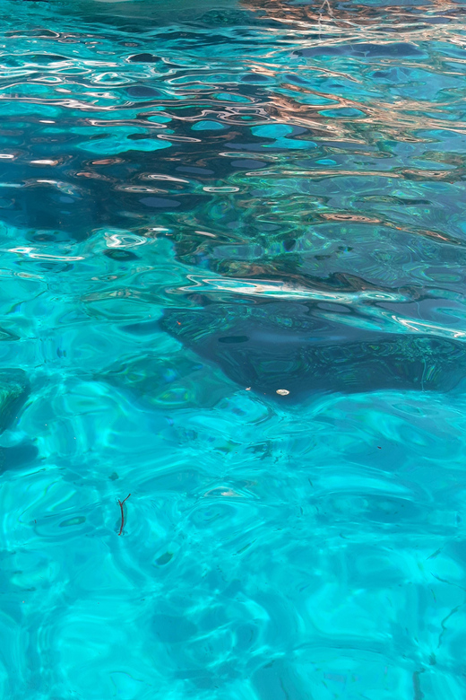EXCURSION OF THE GULF OF OROSEI WITH INFLATABLE - Frequently Asked Questions