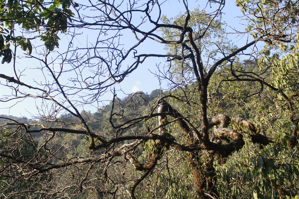 Experience the Magic of Poon Hill: a 4-Day Trek From Pokhara - Essential Information