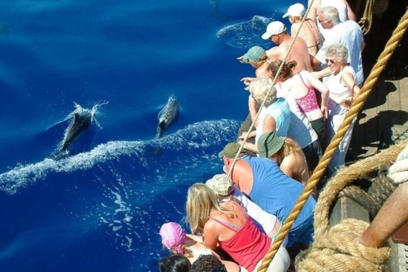 Explore Alanyas Beauty: Catamaran Boat Tour - Tips for an Enjoyable Tour
