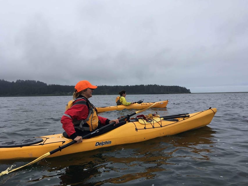 Explore Humboldt Bay by Kayak - What to Expect on the Tour