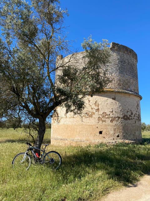 Explore the Beauty of Porto Selvaggio Bike Tour - Discovering Ancient Villas