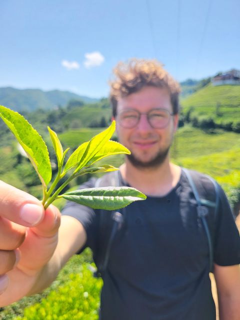 Farming With Farmers at Ancient Vegetable Village Tra Que - Eco-Friendly Practices