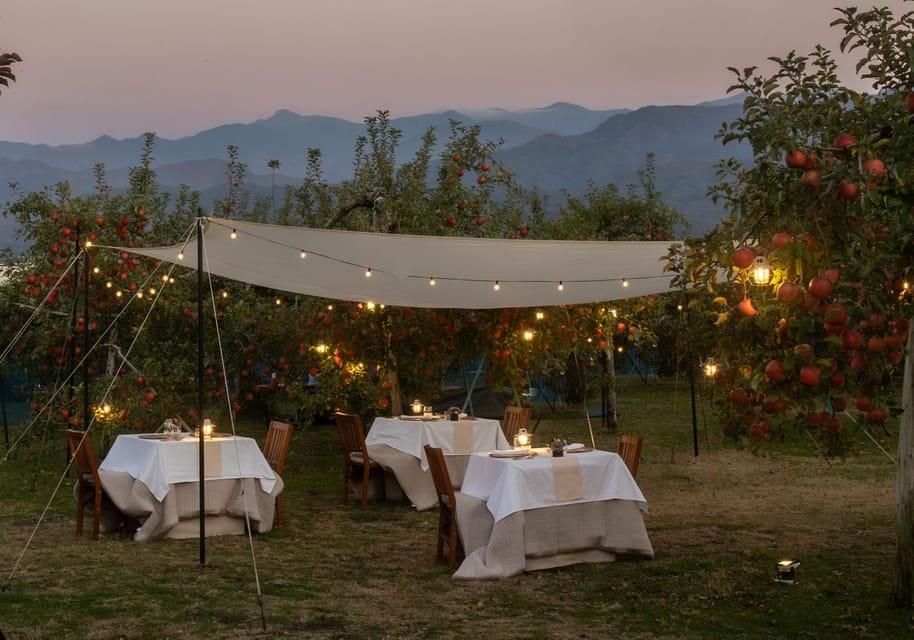 Fine Dining Experience Inside an Orchard in Nagano - Preparation Tips