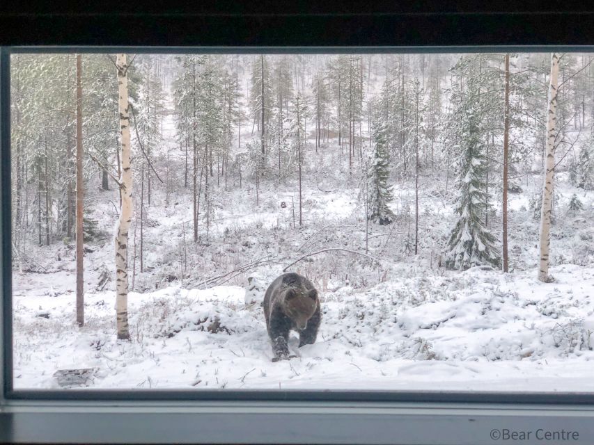 Finland: Bear Watching, Night Trip - Amenities for Comfort