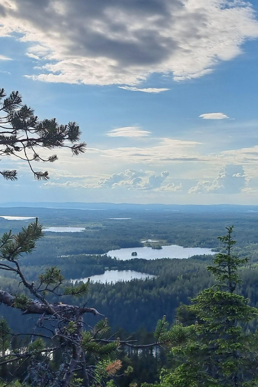 Finnish Lapland: Midnight Sun Walk in Riisitunturi Park - Midnight Sun Phenomenon