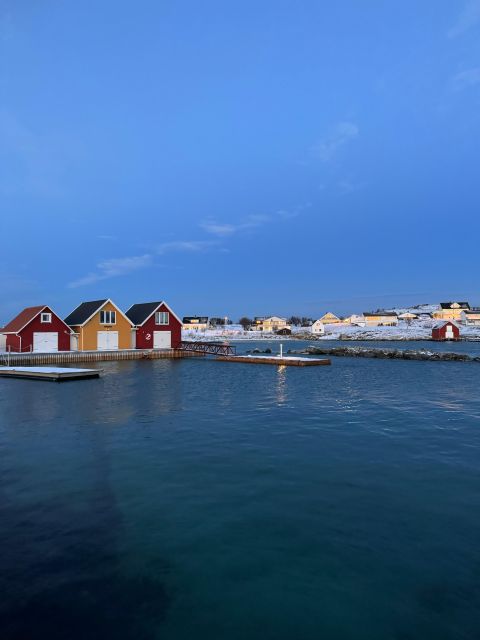 Fjord Foto Tour With Tirpitz Wrack - Customer Experiences