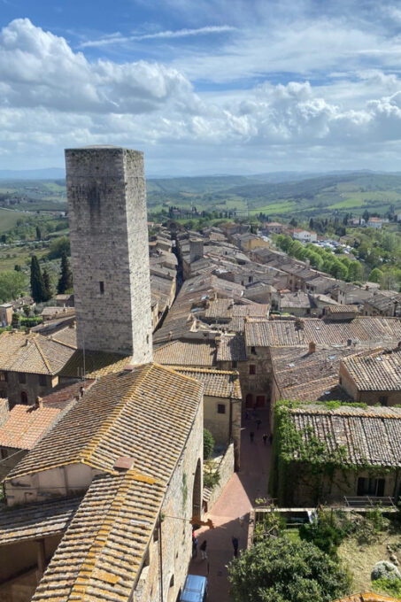 Florence: San Gimignano & Siena Tasting Experience - Customer Reviews