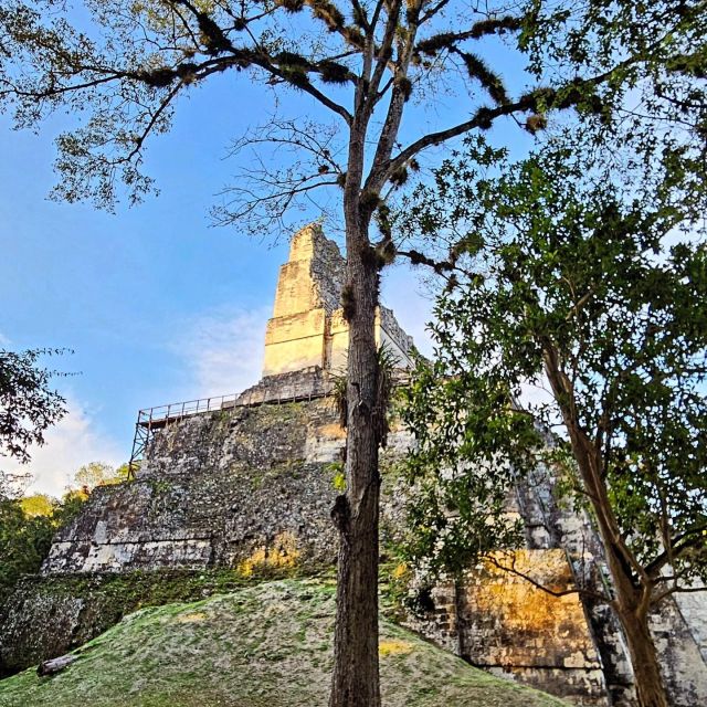 Flores: 1-Day Tikal Tour Private Service From Your Hotel - Frequently Asked Questions