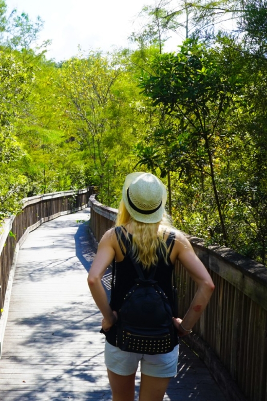 Florida: Big Cypress, Everglades, and Overseas Highway … - Packing for Your Florida Tour