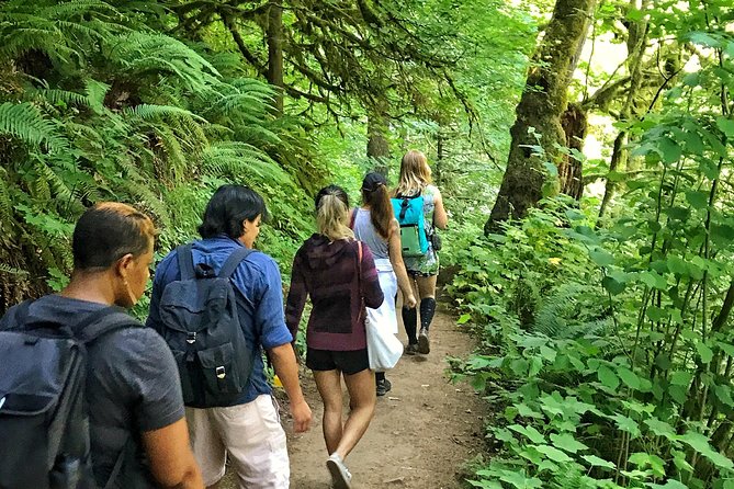 Forest Park Urban Hiking Tour, Portland - Booking Information and Pricing