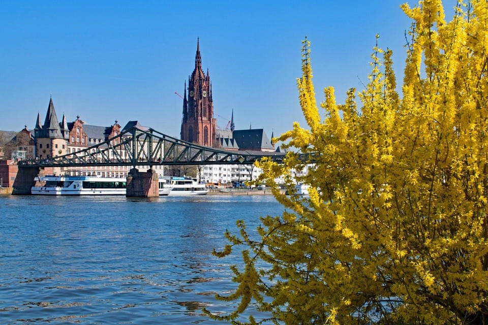 Frankfurt Cradle of German Democracy Tour - Rise and Fall of Democracy