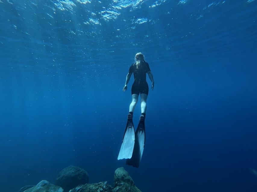 Free Diving and Snorkeling Experience Turtle Beach - Meeting Point and Access