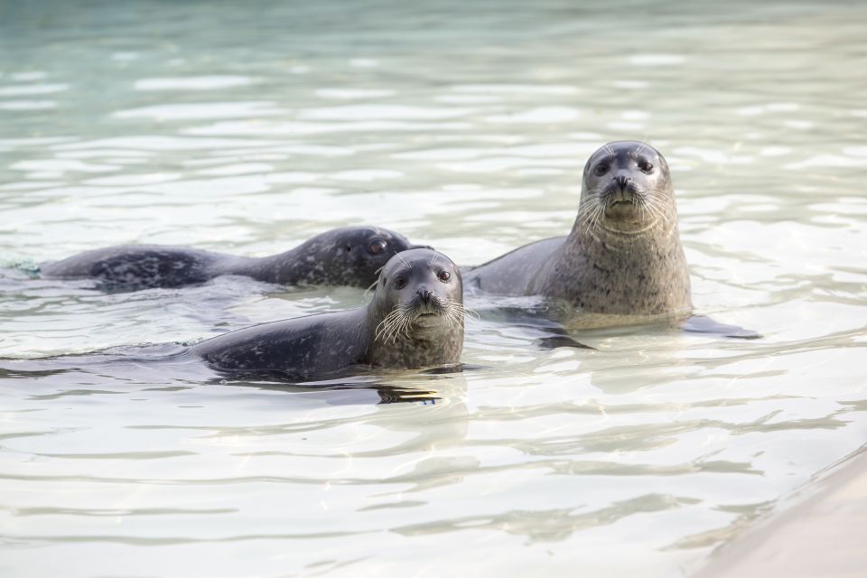 French Riviera: Marineland Entrance Ticket - Frequently Asked Questions