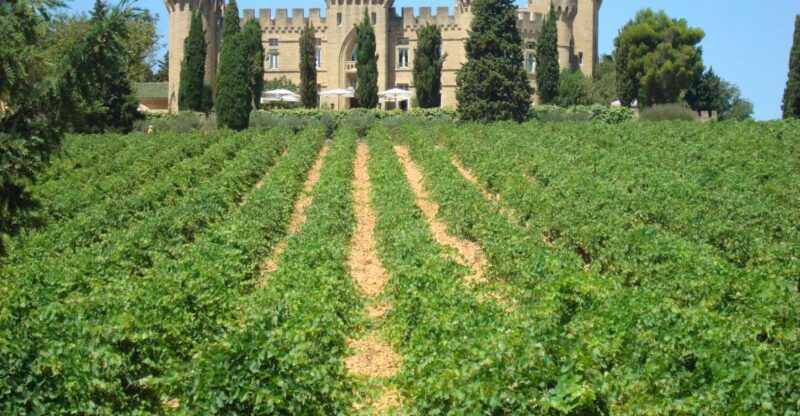 From Aix-En-Provence: Châteauneuf Du Pape Wineries Day Trip - Exclusions to Note