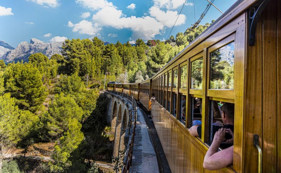 From Alcúdia: Soller Train and Tram Half Day Tour - Customer Reviews and Ratings