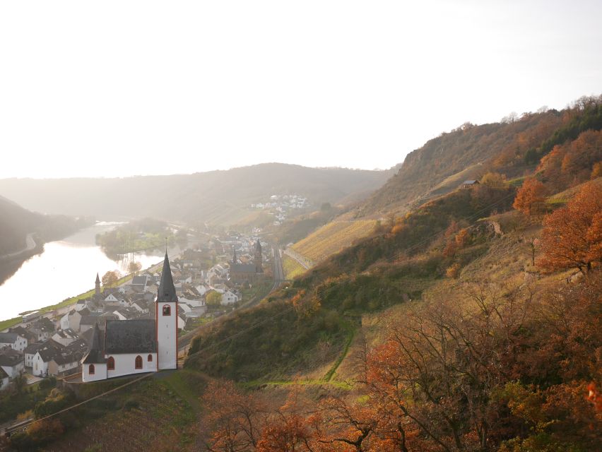 From Alken: Moselle Valley Sightseeing Cruise - Booking and Cancellation Policy