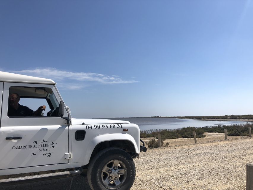 From Arles: Half-Day 4x4 Camargue Safari - Customer Reviews