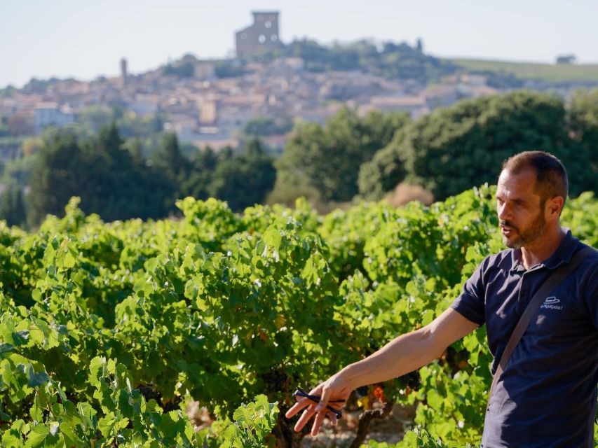 From Avignon: Afternoon Wine Tour Châteauneuf Du Pape - What to Bring