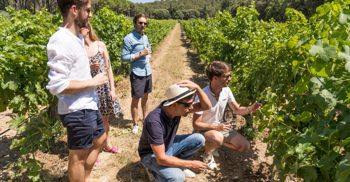 From Avignon: Châteauneuf Du Pape and Luberon Tour With Wine - Customer Reviews