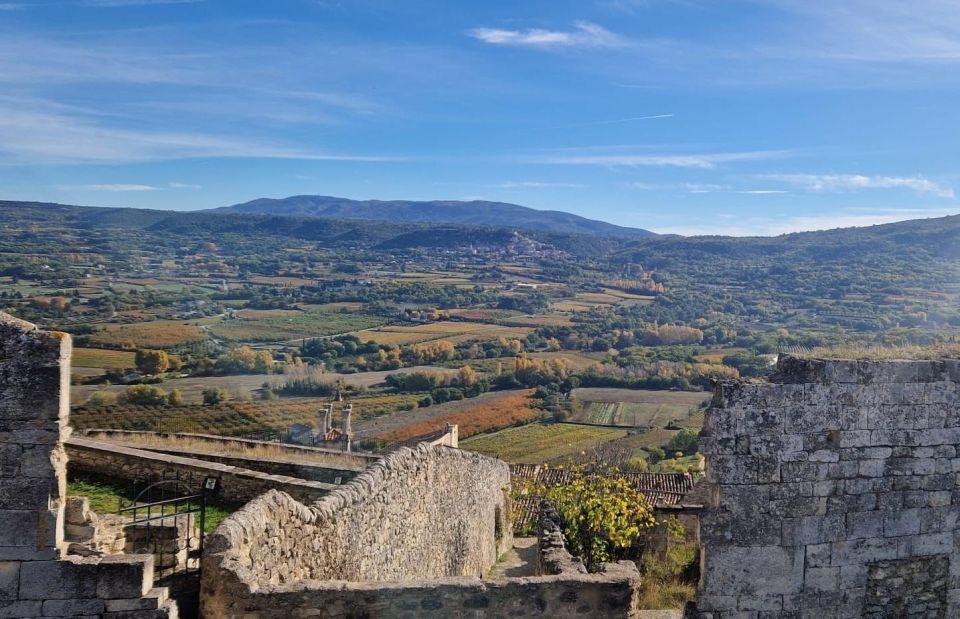 From Avignon: Full-Day E-Bike Tour in the Luberon Region - Customer Reviews