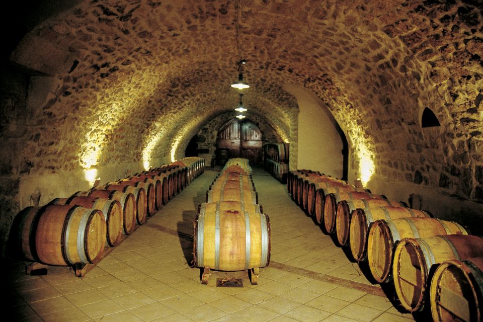 From Avignon: Half-Day Great Vineyards Tour - Participant Requirements