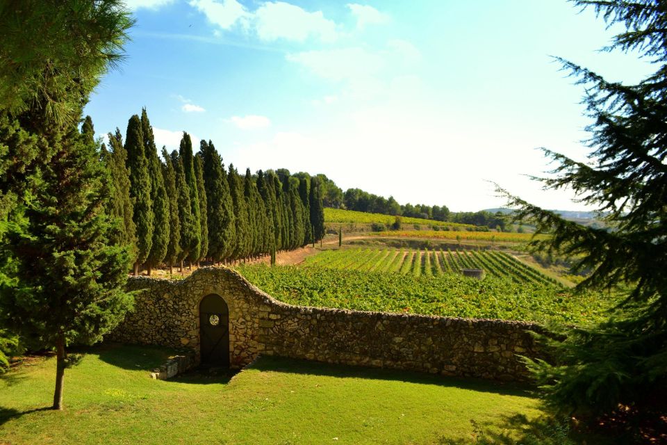 From Barcelona: The Penedès Hike and Wine Tour - Preparation and Meeting Point