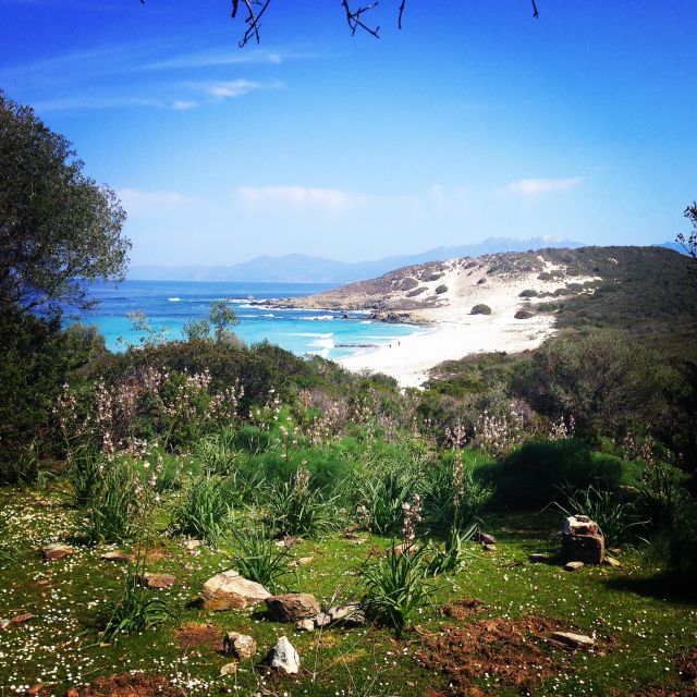 From Bastia: Off-Road Agriates Desert and Beach Excursion - Important Considerations