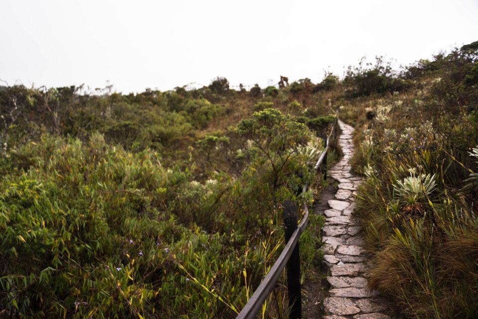 From Bogotá: Salt Cathedral and Lake Guatavita Day Tour - Travel Tips