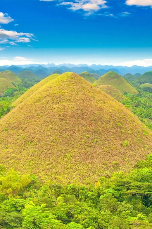 From Bohol: Countryside Private Day Tour - Tarsier Sanctuary Experience