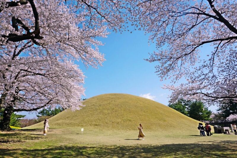 From Busan: Echoes of Silla Gyeongju Historical Day Tour - Important Information