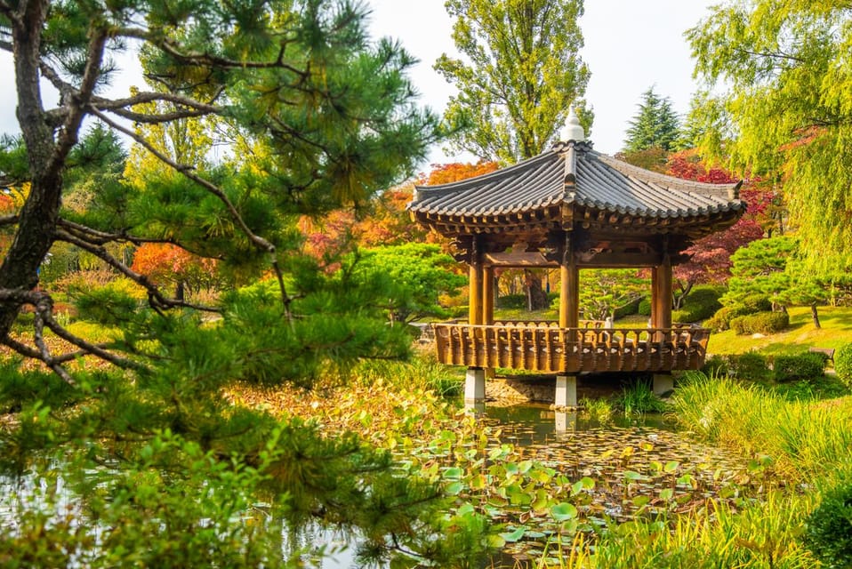 From Busan: Gyeongju Autumn Foliage One Day Tour - Important Information