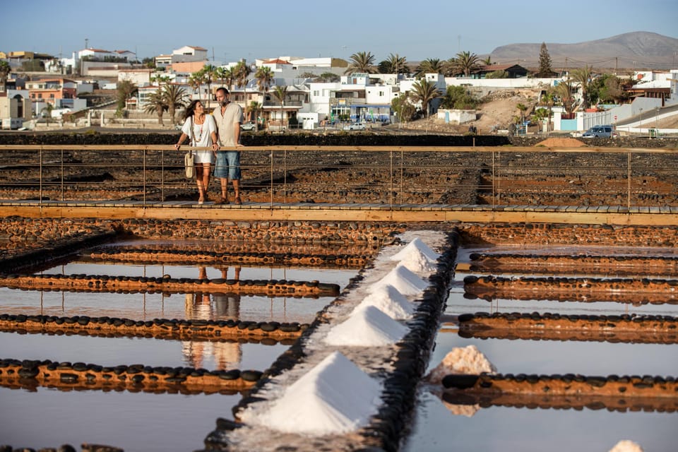 From Caleta De Fuste: Explore Rural Fuerteventura Tour - Experience and Activities