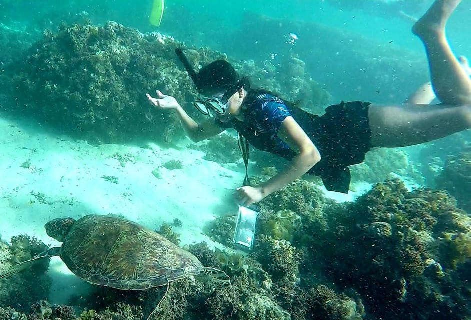 From Cebu City: Moalboal Pescador Snorkeling Tour + Lunch - Return Journey