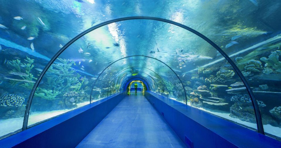 From City of Side: Antalya Aquarium Full-Day Trip - Payment Methods