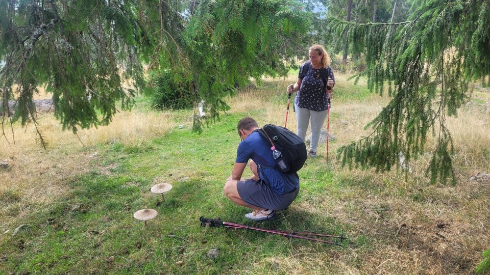 From Cluj-Napoca: Day Hike to Vlădeasa Peak - Customer Testimonials