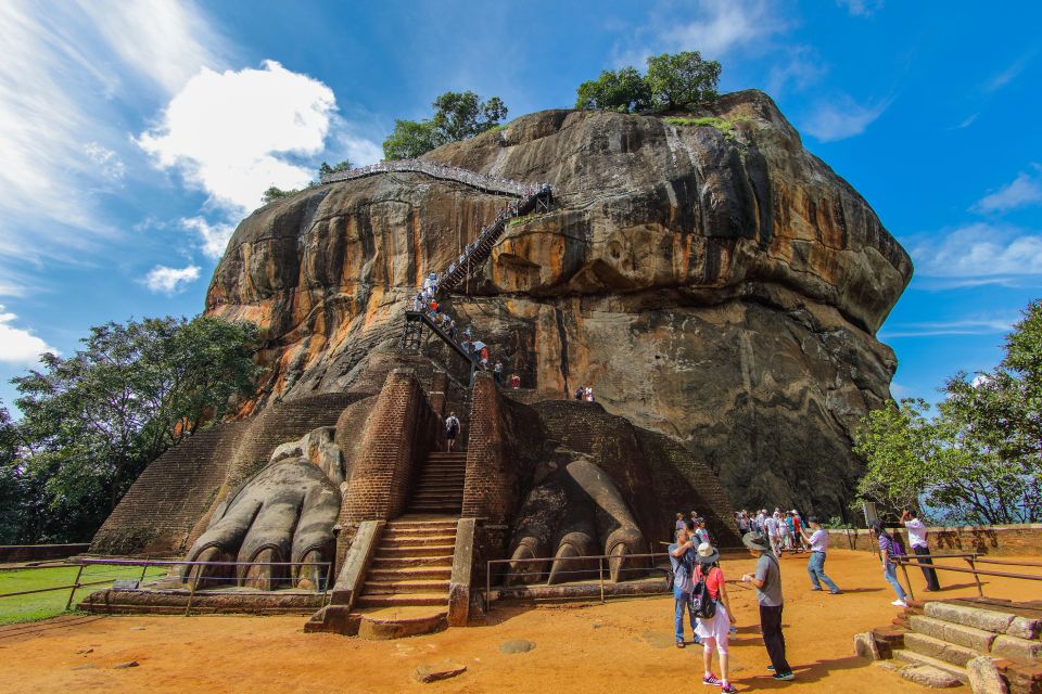 From Colombo: Sigiriya and Dambulla Day Trip and Safari - Customer Feedback and Ratings