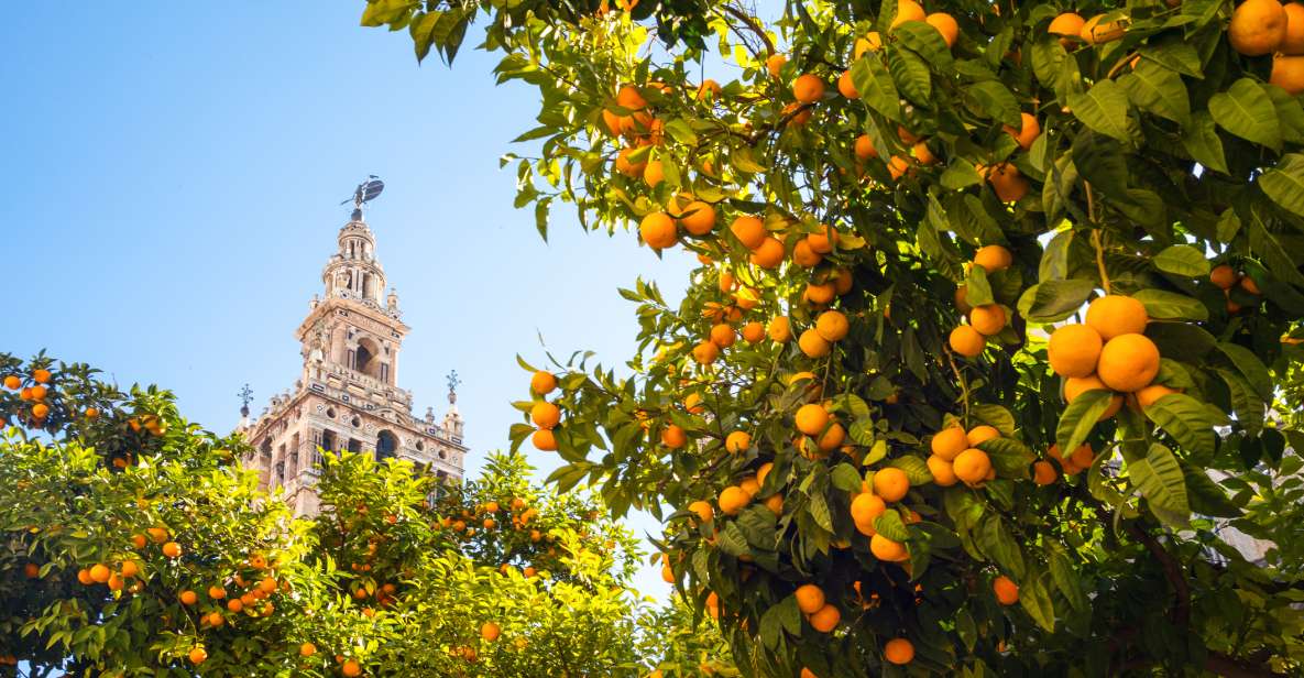 From Costa Del Sol: Seville Day Trip - Departure Locations