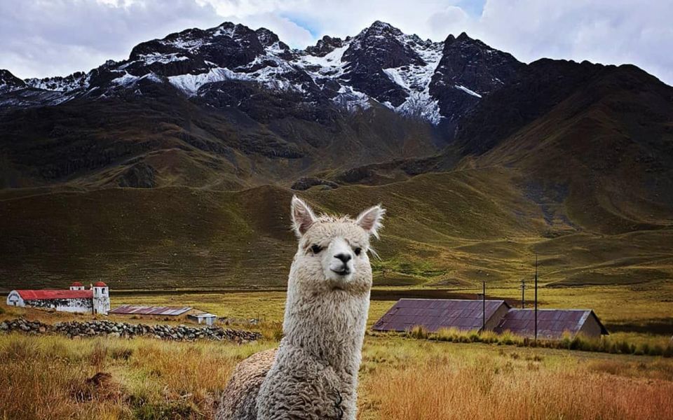 From Cusco: Titicaca Lake With the Route of the Sun in 2 Day - Inclusions and What to Expect