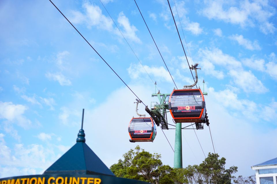 From Da Nang: Ba Na Hills Golden Bridge Private Tour - Private Tour Benefits