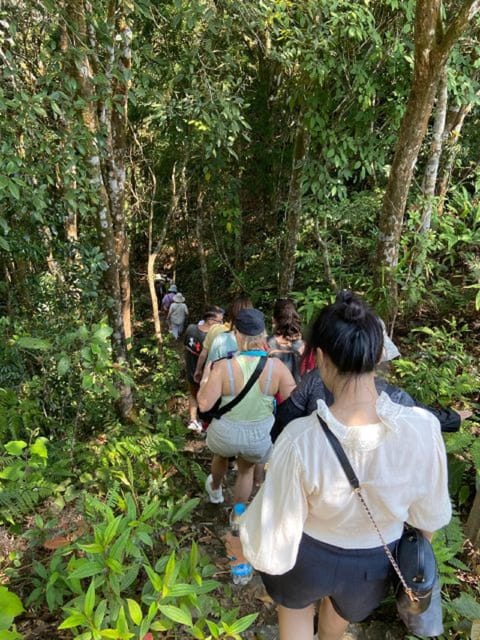 From Da Nang/Hoi An: Bach Ma National Park Day Trip - Important Recommendations