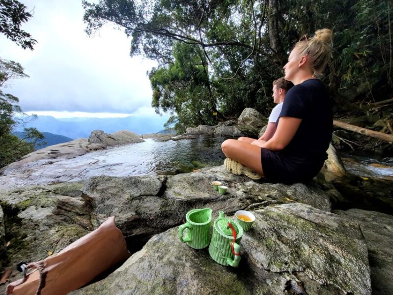 From Da Nang or Hoi An: Bach Ma National Park Trek & Lunch - Booking Information