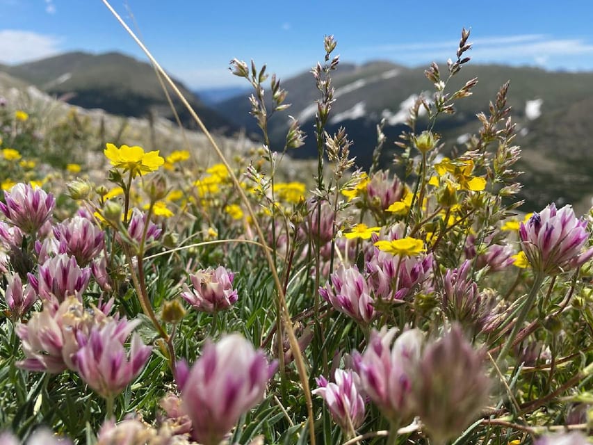 From Denver: Trip to Mount Blue Sky Summit and Glacial Lake - Lunch in Idaho Springs